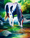 Horse poster-color painting with mounted Black Frame